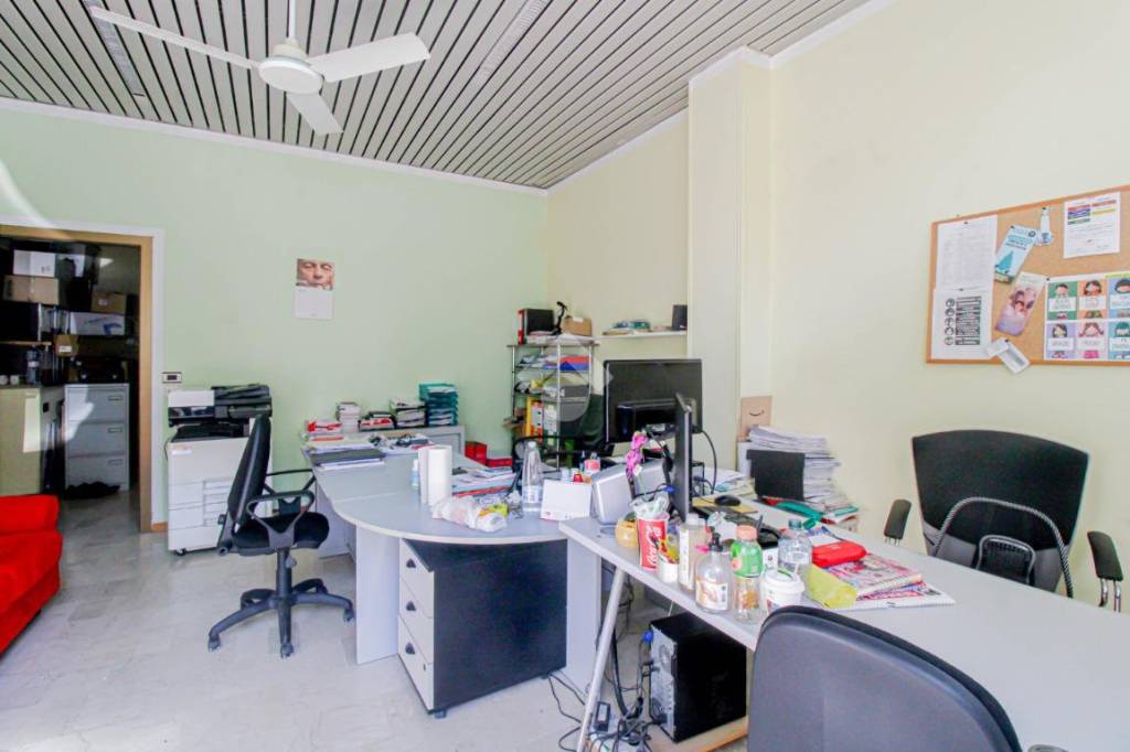 immagine annuncio 7 di 12