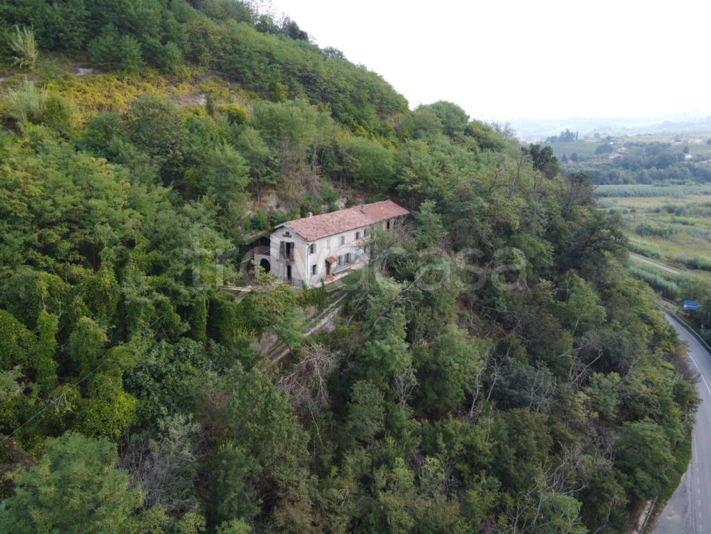 immagine annuncio 9 di 12