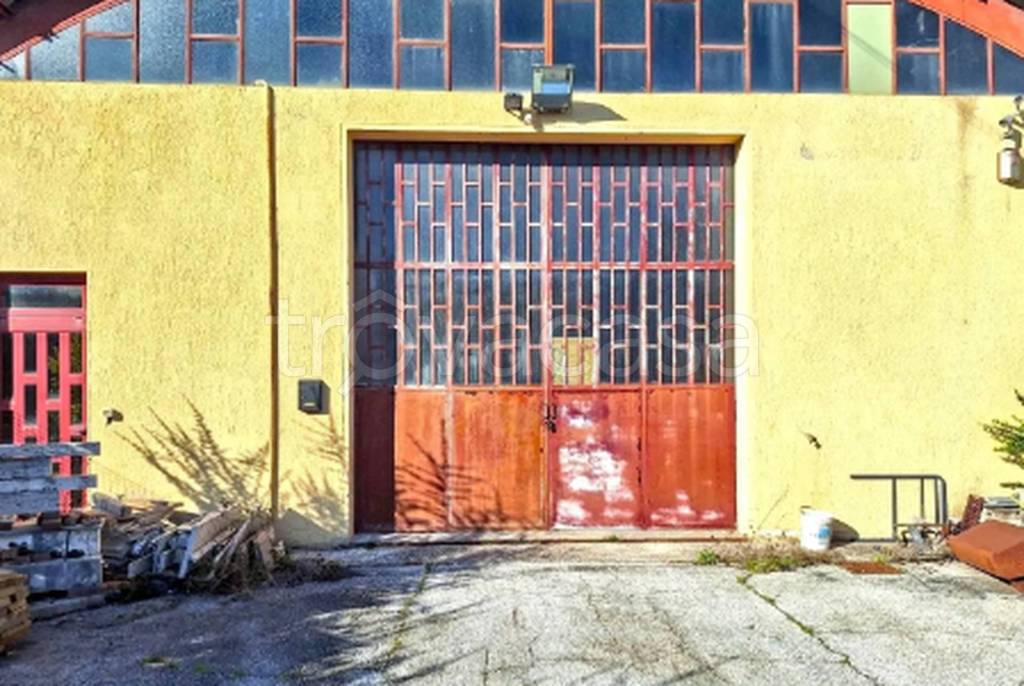 immagine annuncio 2 di 11