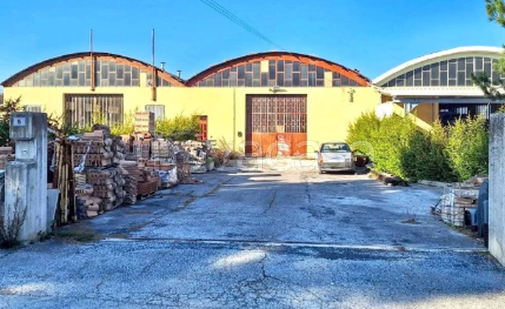 immagine annuncio 4 di 11