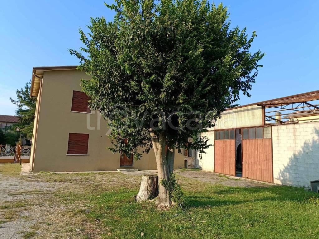 immagine annuncio 1 di 8