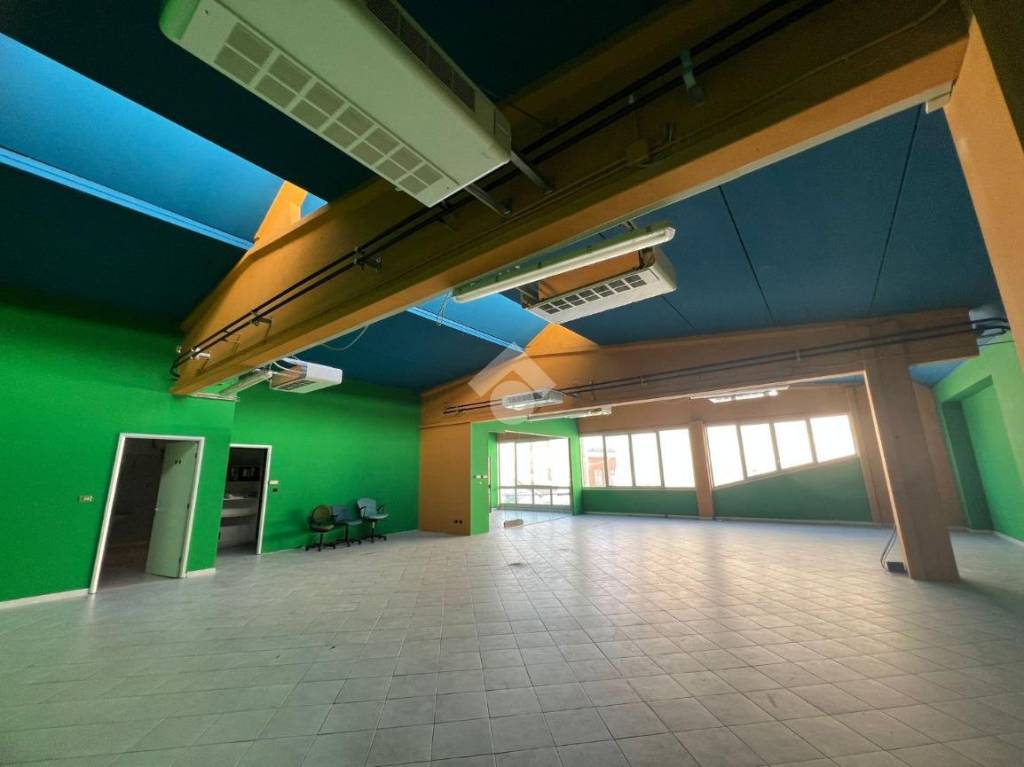 immagine annuncio 11 di 15