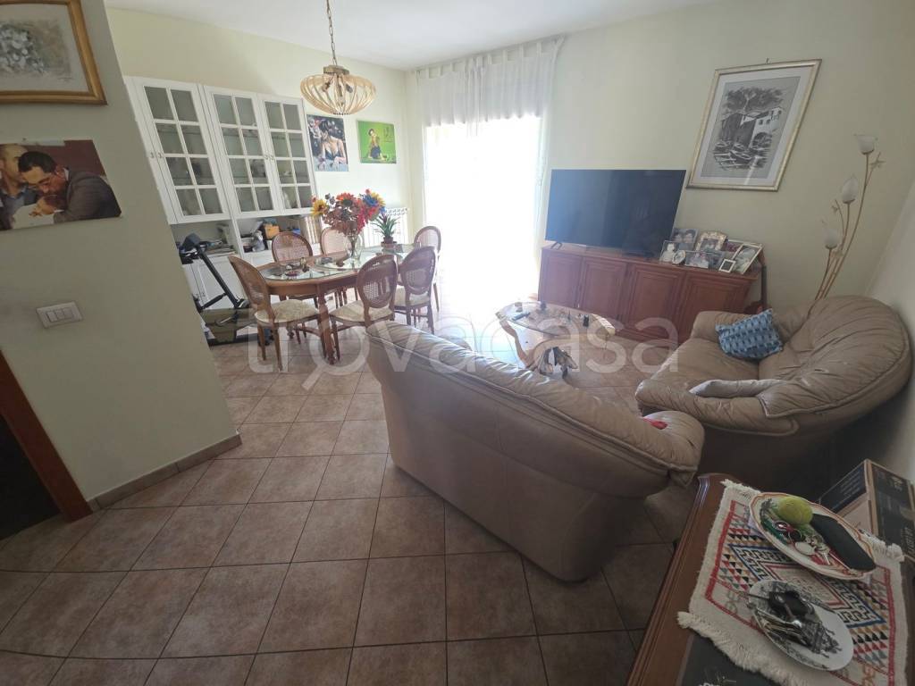 immagine annuncio 2 di 13