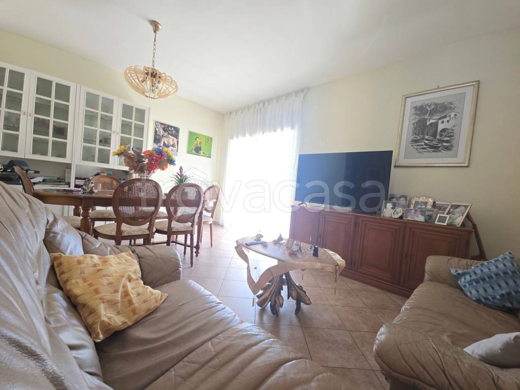 immagine annuncio 3 di 13