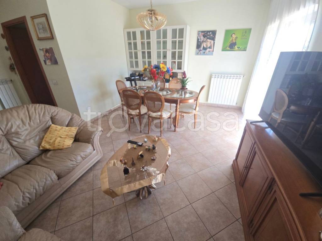 immagine annuncio 4 di 13