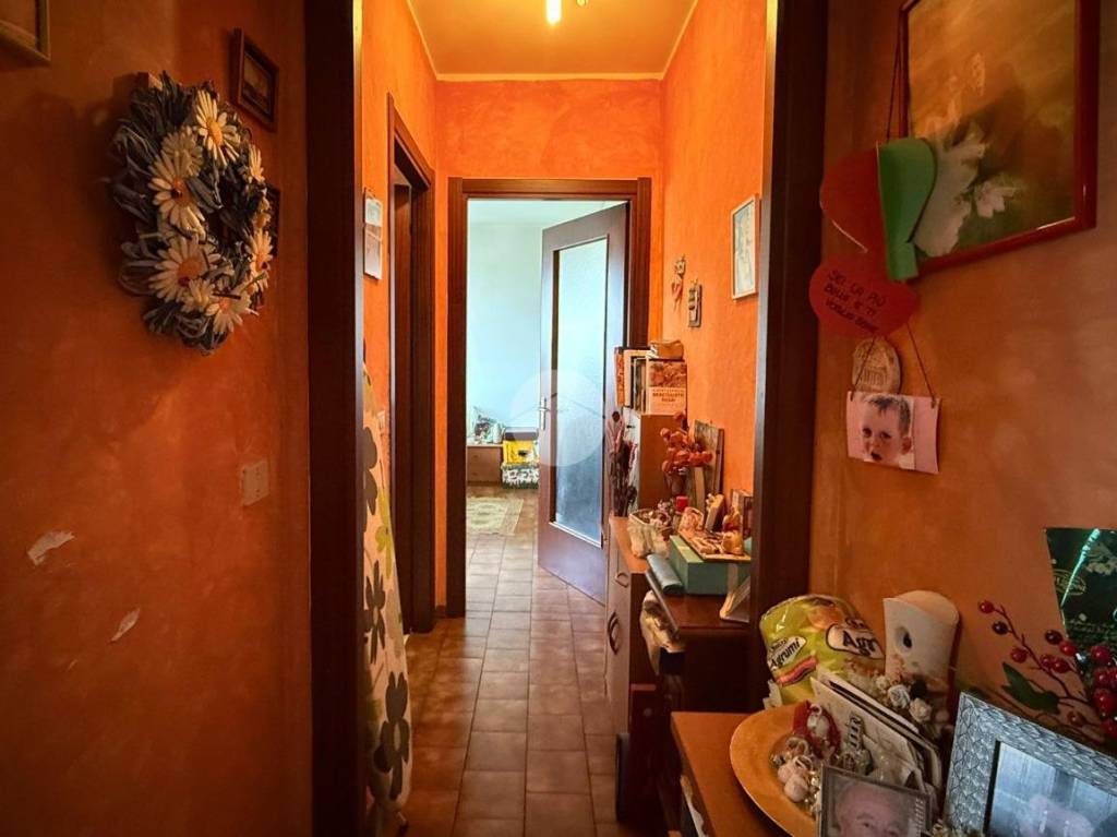 immagine annuncio 6 di 12