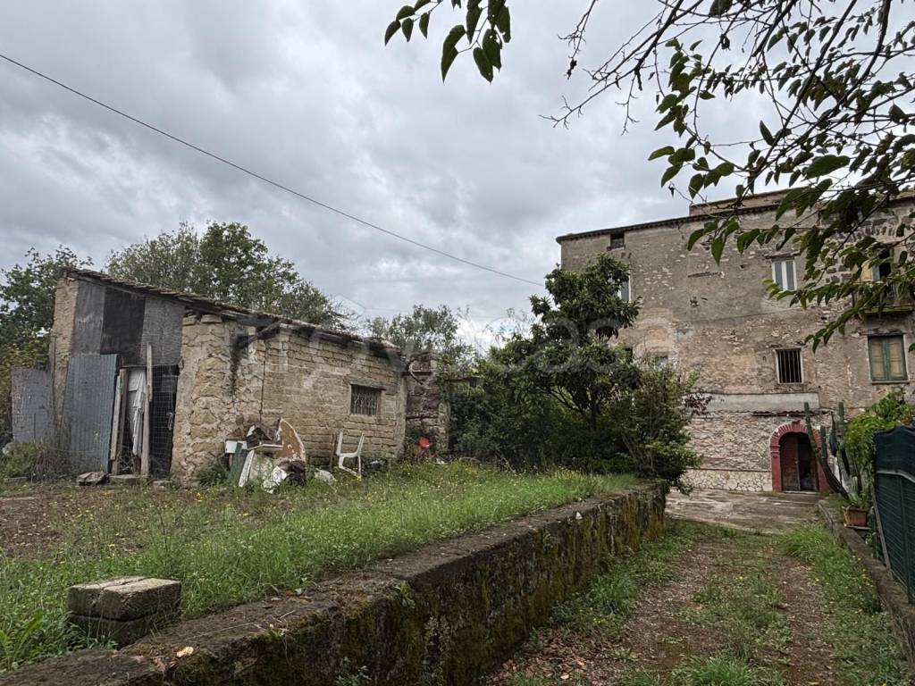 immagine annuncio 1 di 6