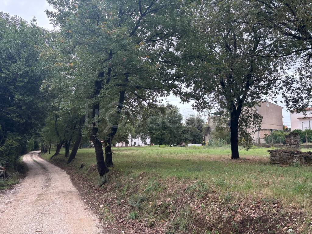 immagine annuncio 2 di 6