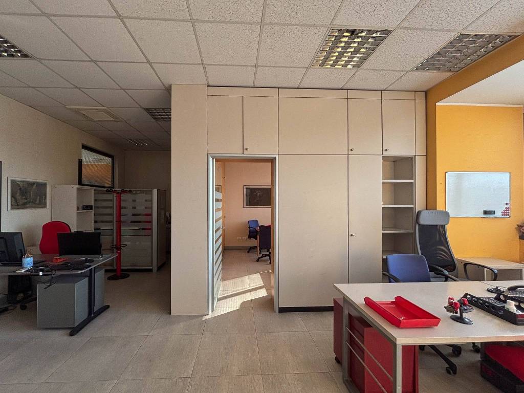 immagine annuncio 3 di 11