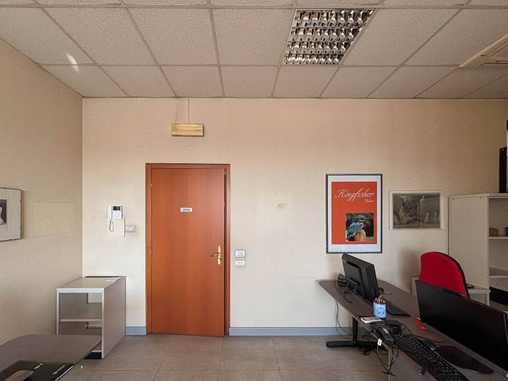 immagine annuncio 9 di 11