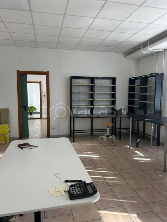 immagine annuncio 9 di 12