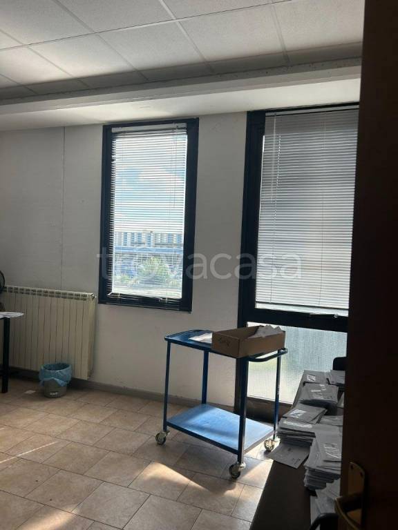 immagine annuncio 4 di 12