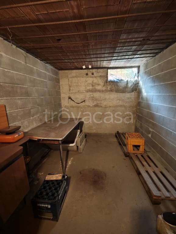 immagine annuncio 11 di 13