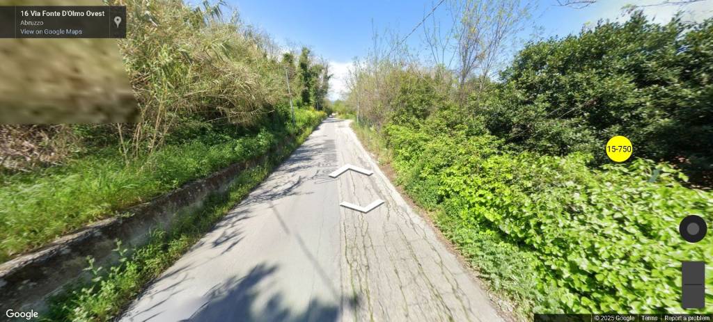 immagine annuncio 11 di 13