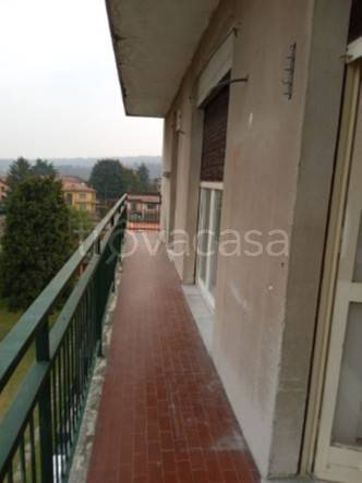 immagine annuncio 12 di 14