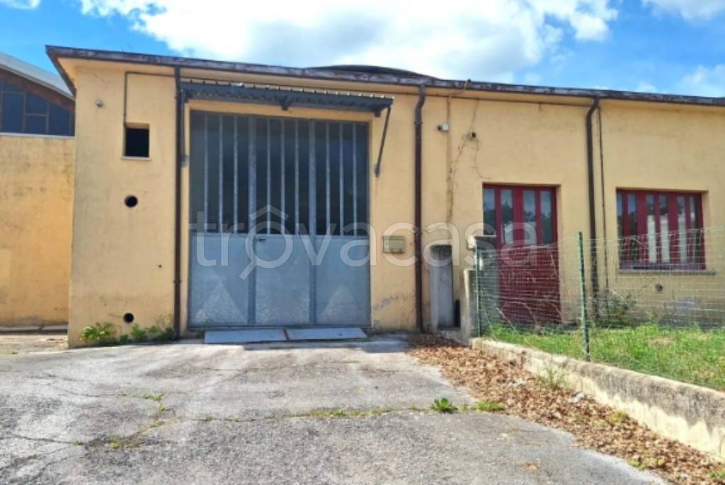 immagine annuncio 3 di 12