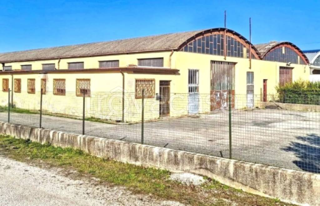 immagine annuncio 6 di 12