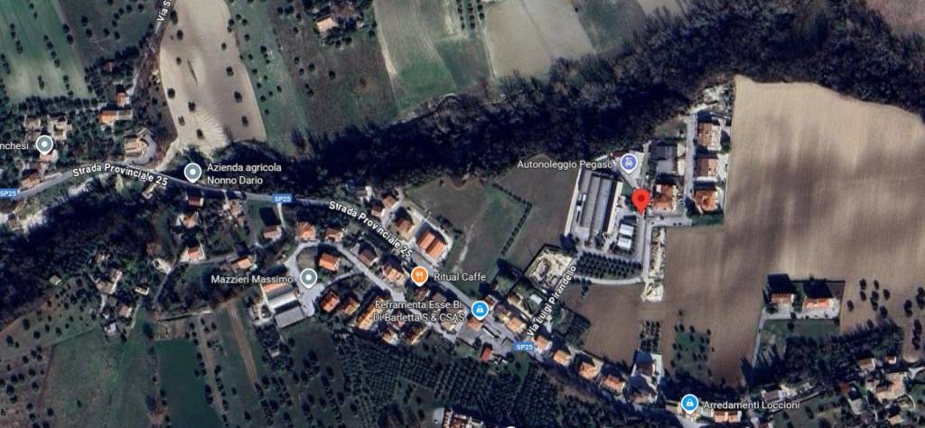 immagine annuncio 9 di 12