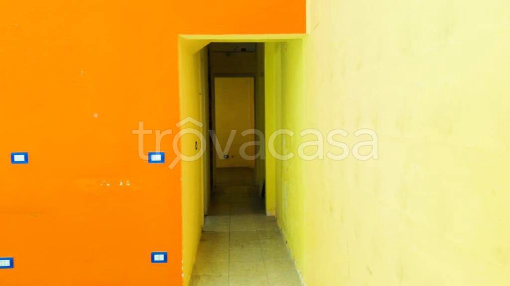 immagine annuncio 4 di 12
