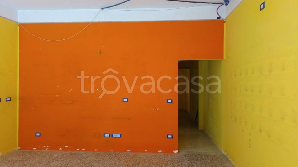 immagine annuncio 8 di 12