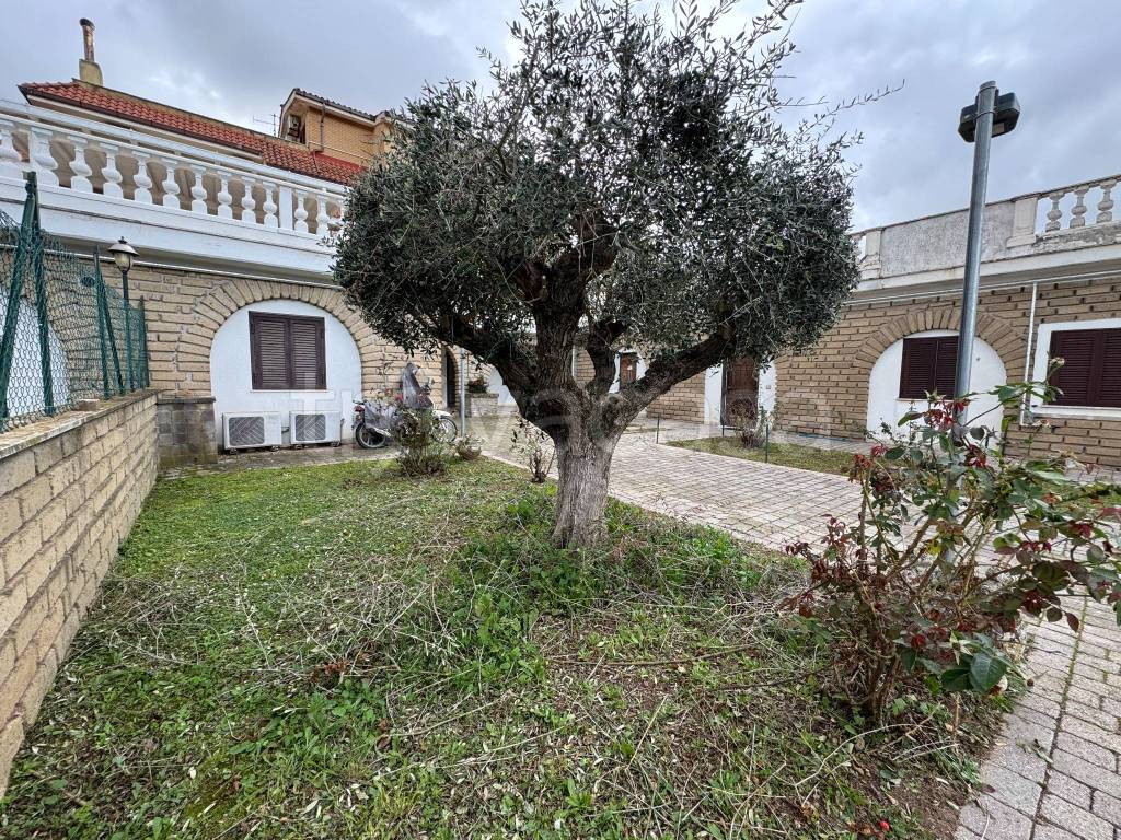 immagine annuncio 1 di 11