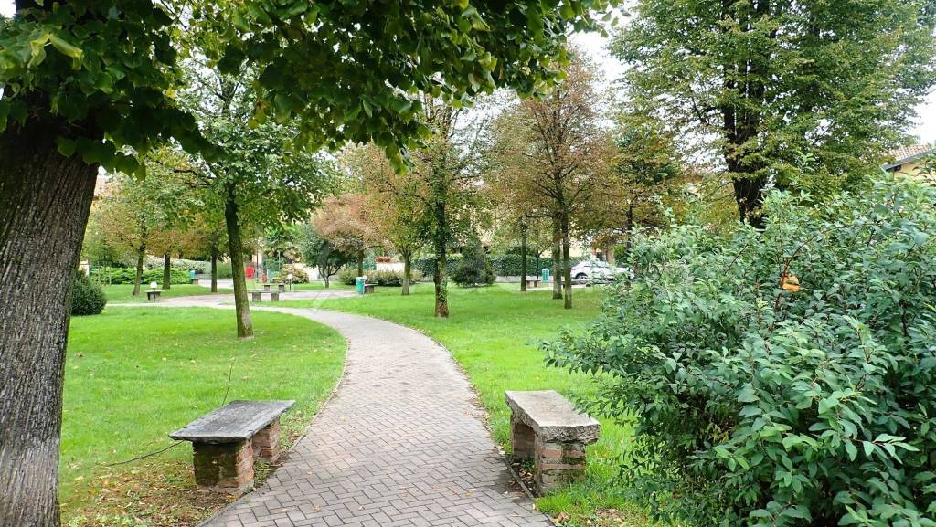 immagine annuncio 10 di 15