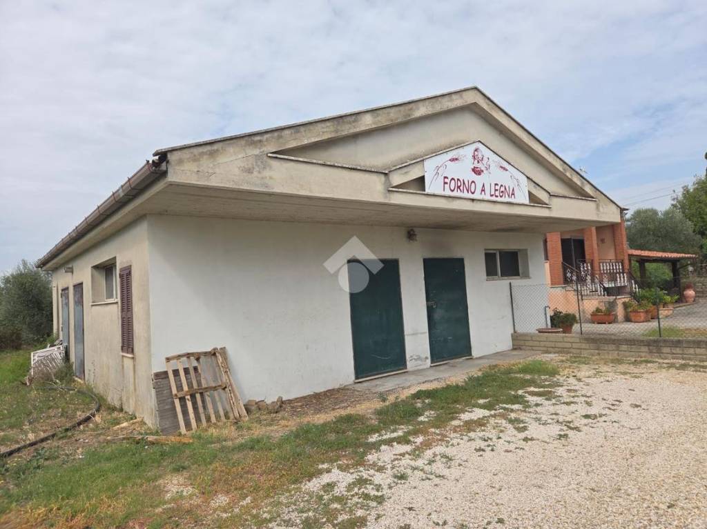 immagine annuncio 1 di 6