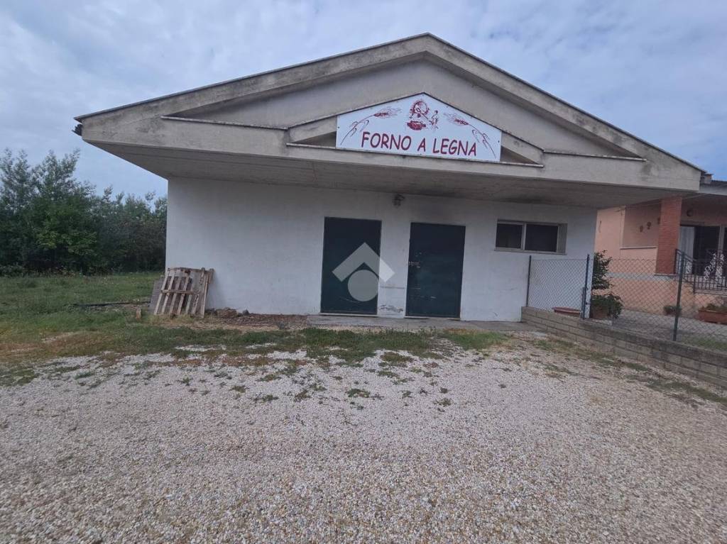 immagine annuncio 2 di 6