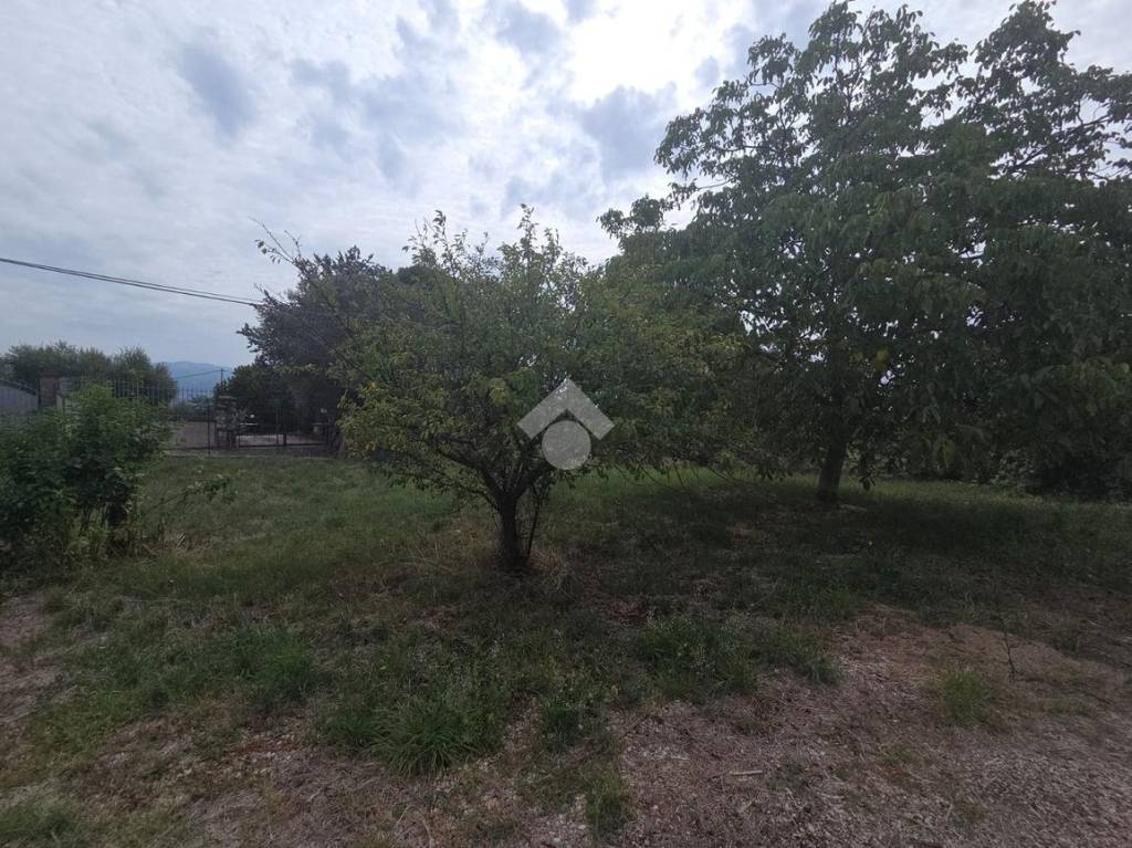 immagine annuncio 5 di 6