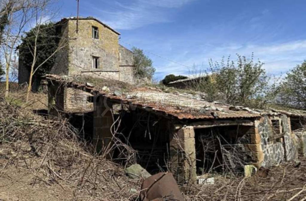 immagine annuncio 5 di 14