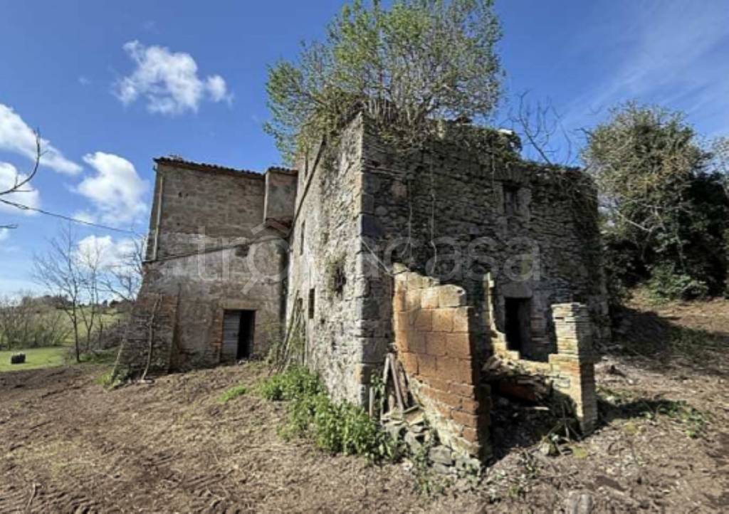 immagine annuncio 10 di 14