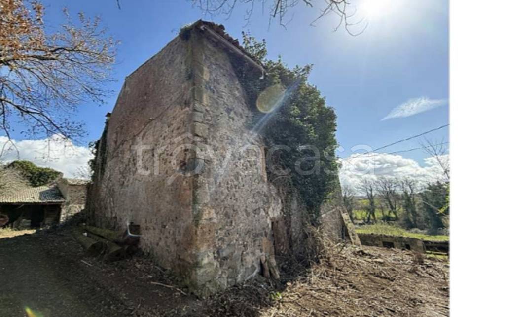 immagine annuncio 11 di 14