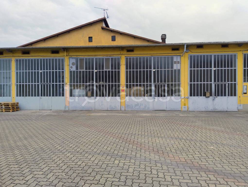 immagine annuncio 12 di 14