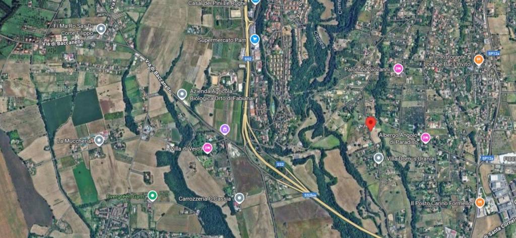 immagine annuncio 12 di 14