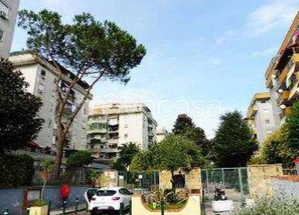 immagine annuncio 7 di 11