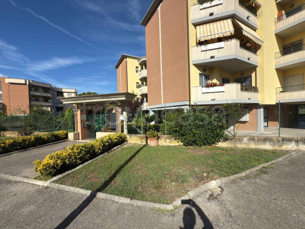 immagine annuncio 3 di 4