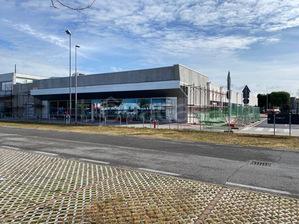 immagine annuncio 10 di 15