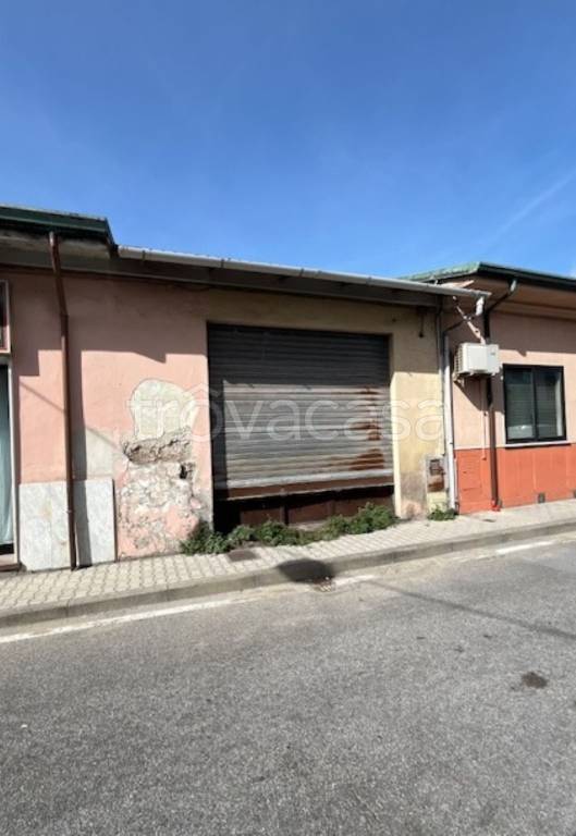 immagine annuncio 3 di 12