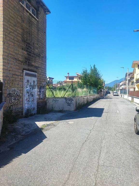 immagine annuncio 3 di 12