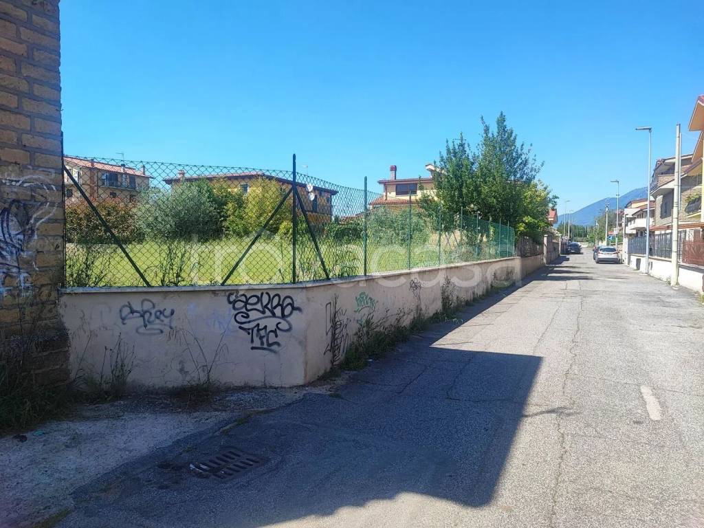 immagine annuncio 4 di 12