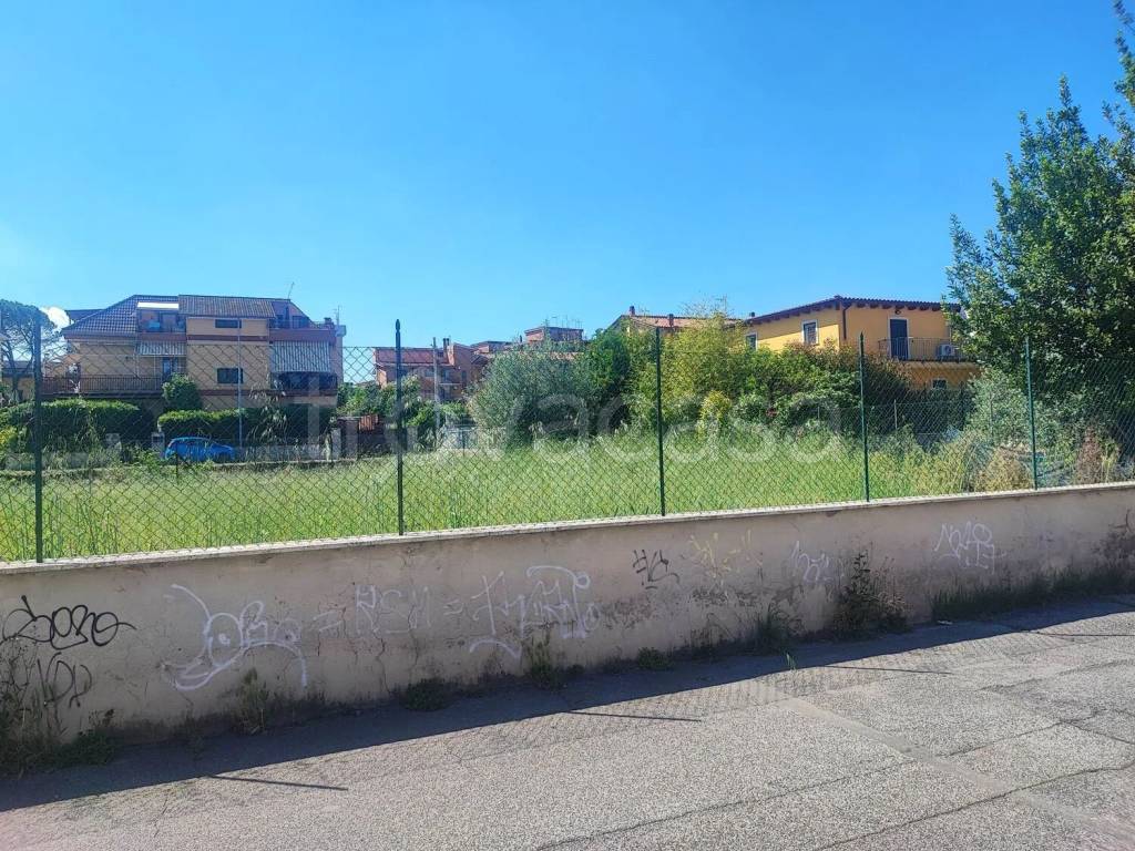 immagine annuncio 6 di 12