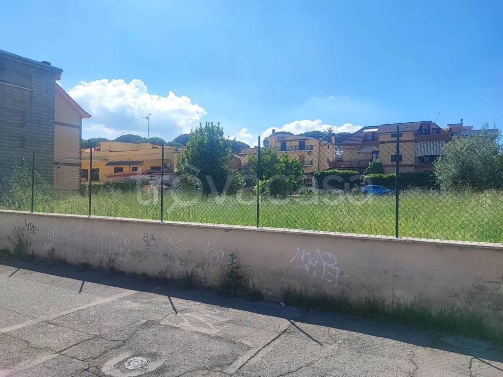 immagine annuncio 7 di 12