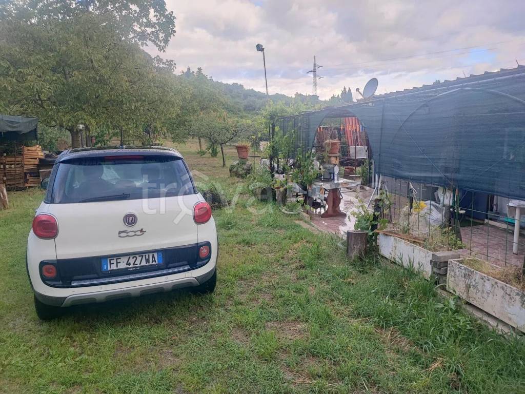 immagine annuncio 10 di 11