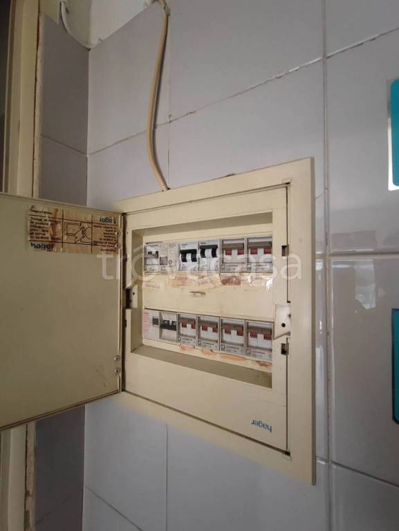 immagine annuncio 8 di 11