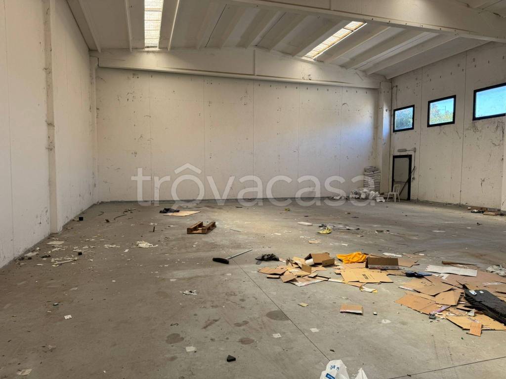 immagine annuncio 4 di 13