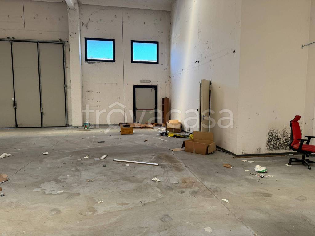 immagine annuncio 5 di 13