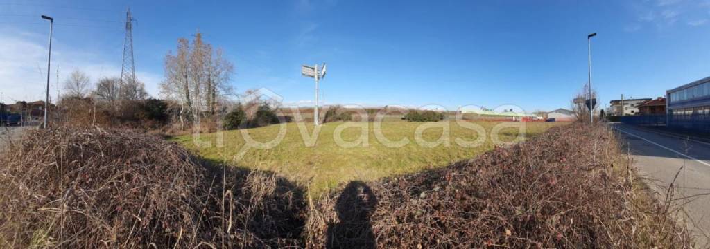 immagine annuncio 11 di 15