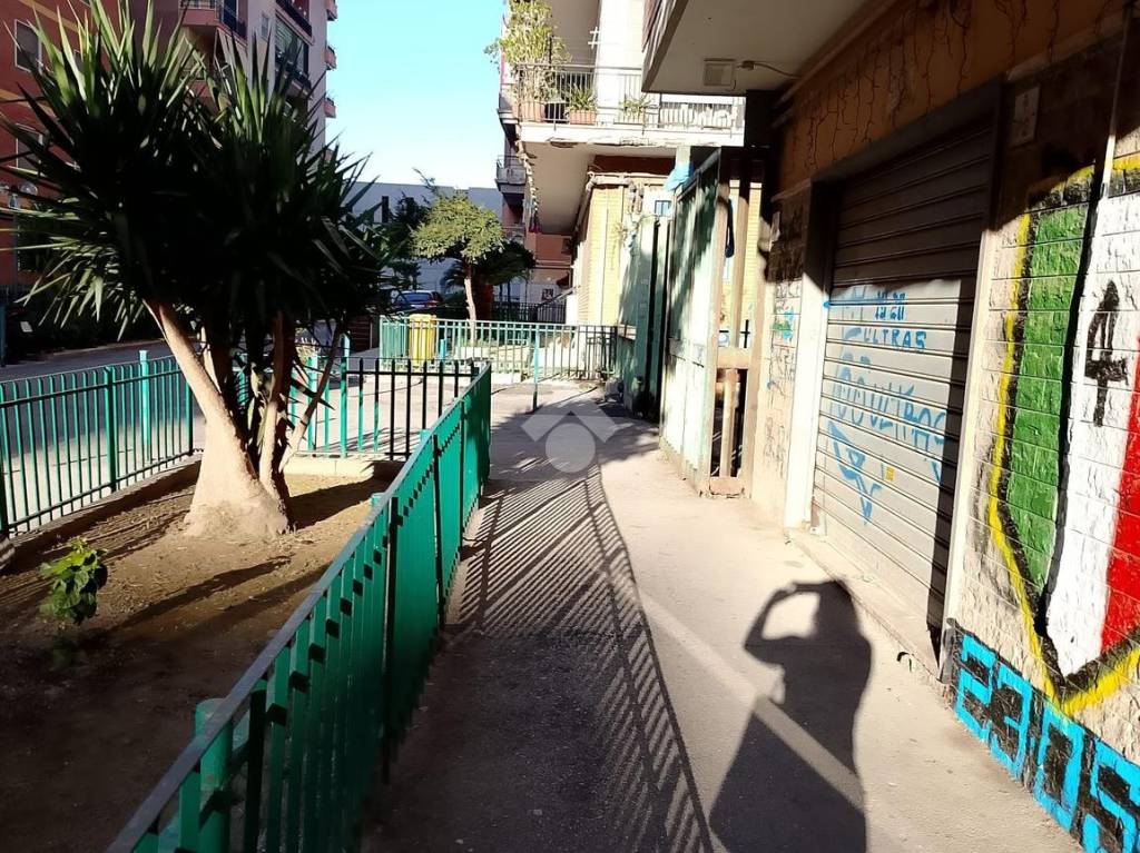 immagine annuncio 9 di 12