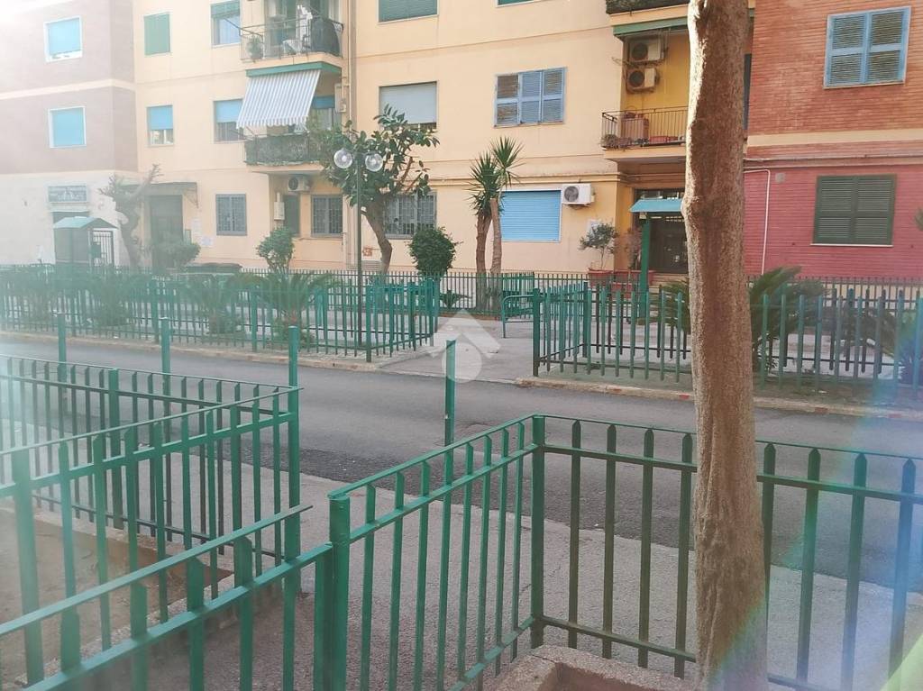 immagine annuncio 10 di 12