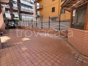 immagine annuncio 9 di 14